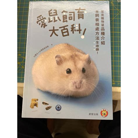 鼠類寵物|愛鼠飼育大百科：常見寵物鼠品種介紹與飼養相處方法全收錄！